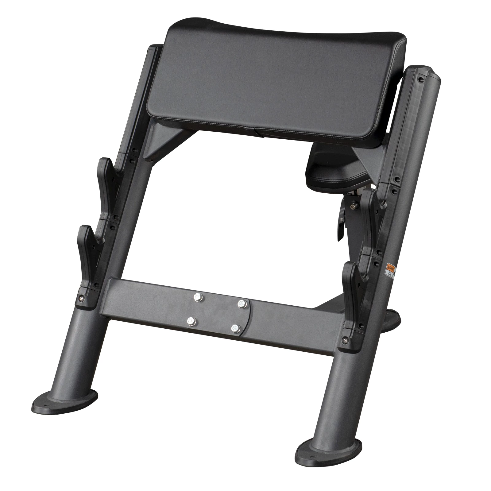 Taurus Elite Preacher Curl | Curl Pult Produktbild